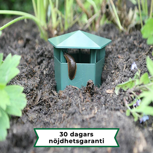 Snigelfällan - Njut av en snigelfri trädgård helt utan ansträngning